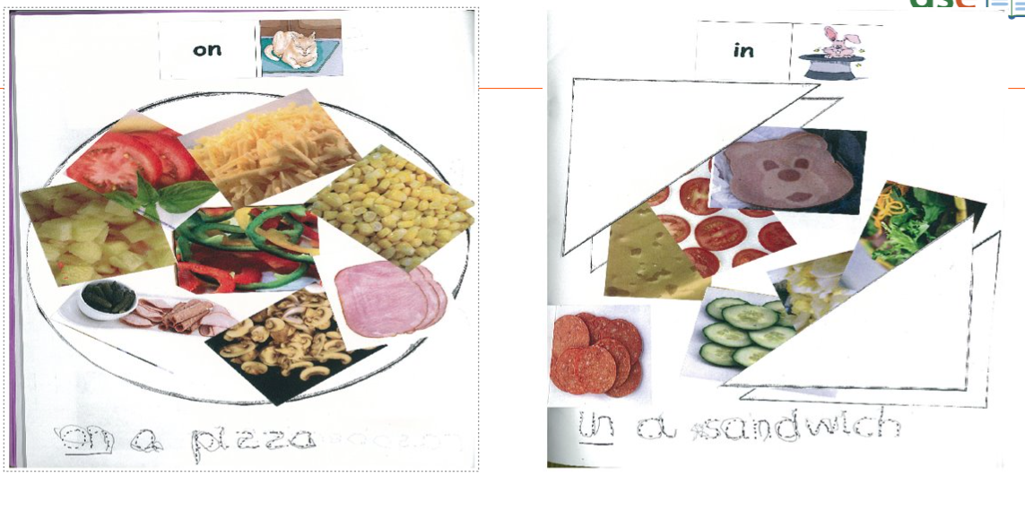 RLI   example activities 3