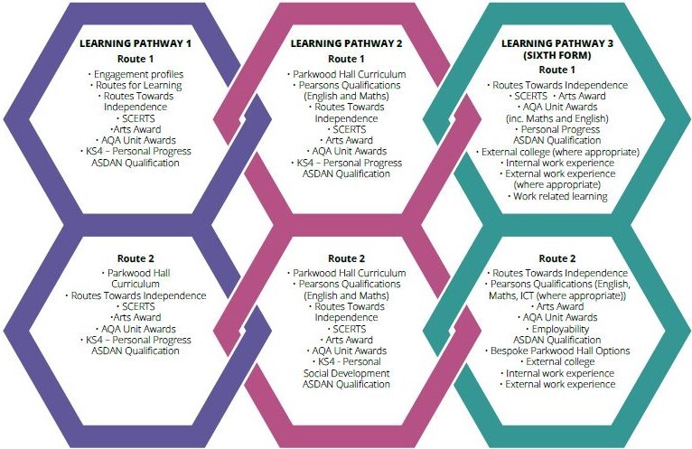 Curriculum pathways